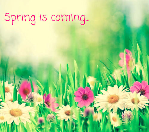Spring Is Ing Quotes