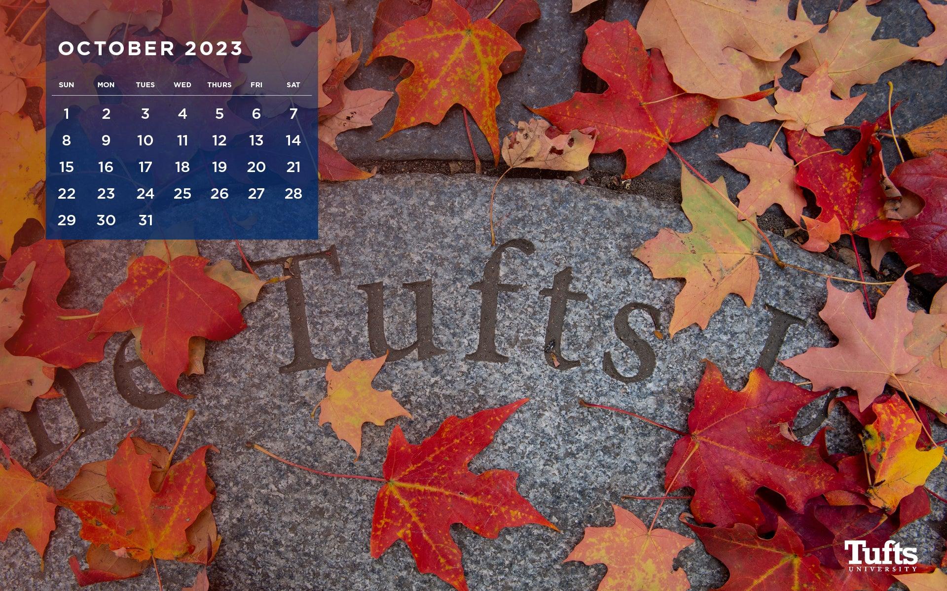 Gittleman Circle S Calendar Background Tufts Alumni
