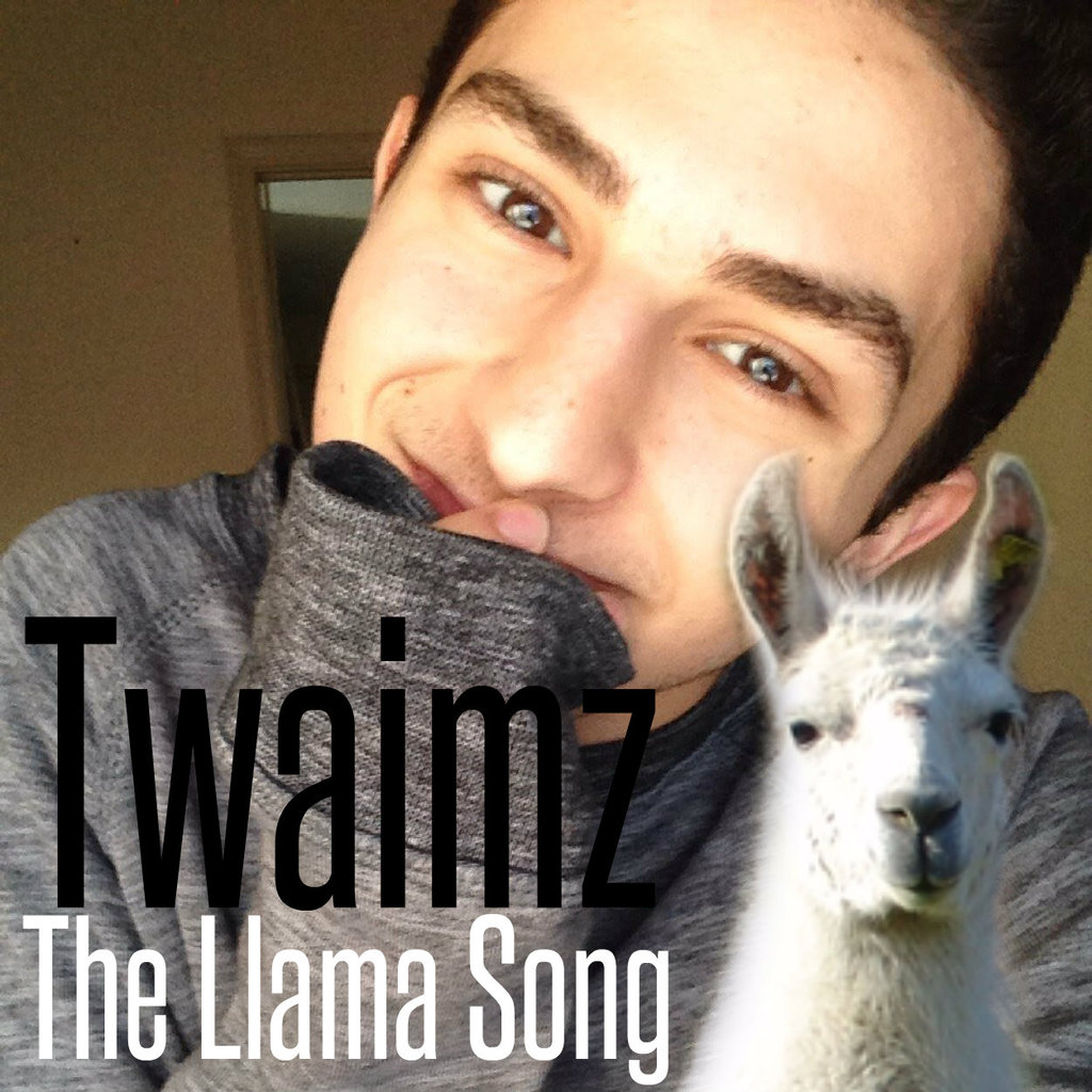 Twaimz The Llama Song Cover By Littlemonsterlovatic