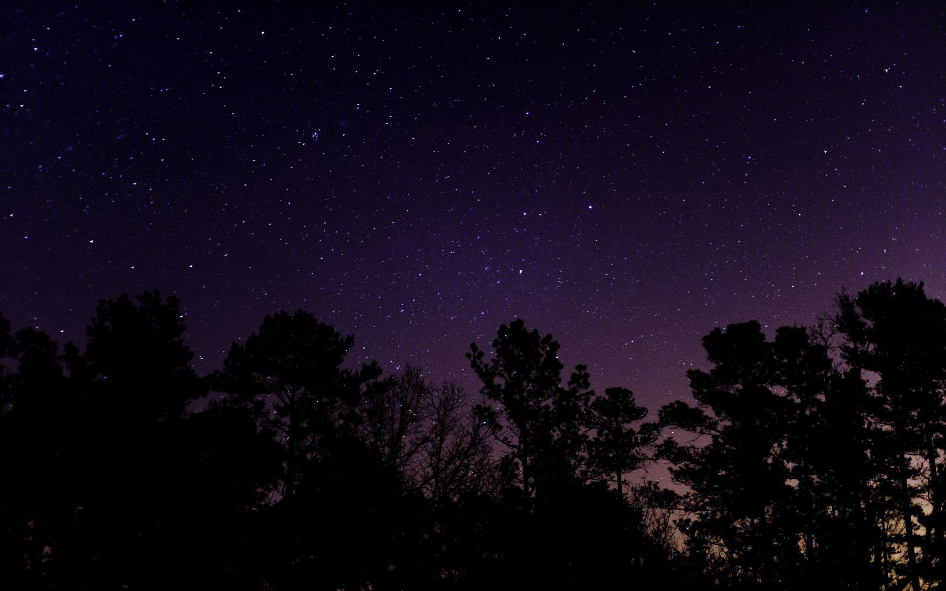 Starry Sky Wallpaper