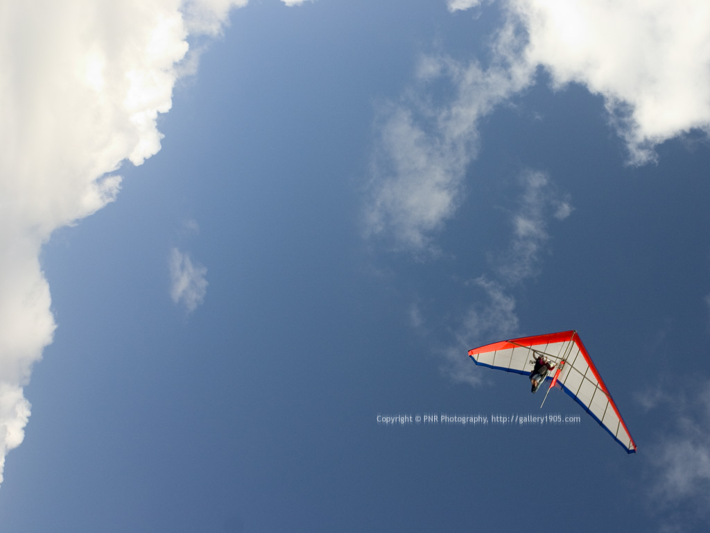 Wallpaper Hang Glider In The Sky
