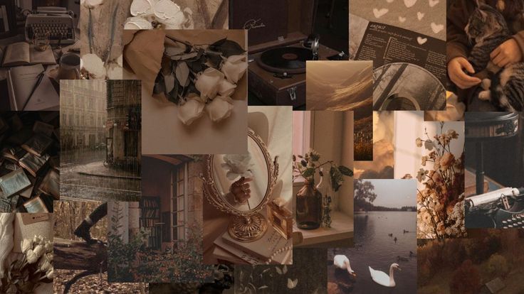 Dark Brown Aesthetic Wallpaper Laptop In