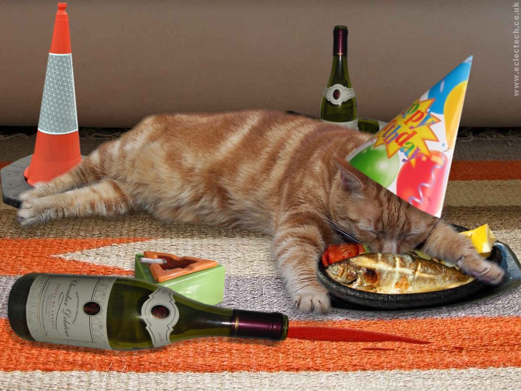 Hope You Have Some Party Animals Around Today And A Grat Day