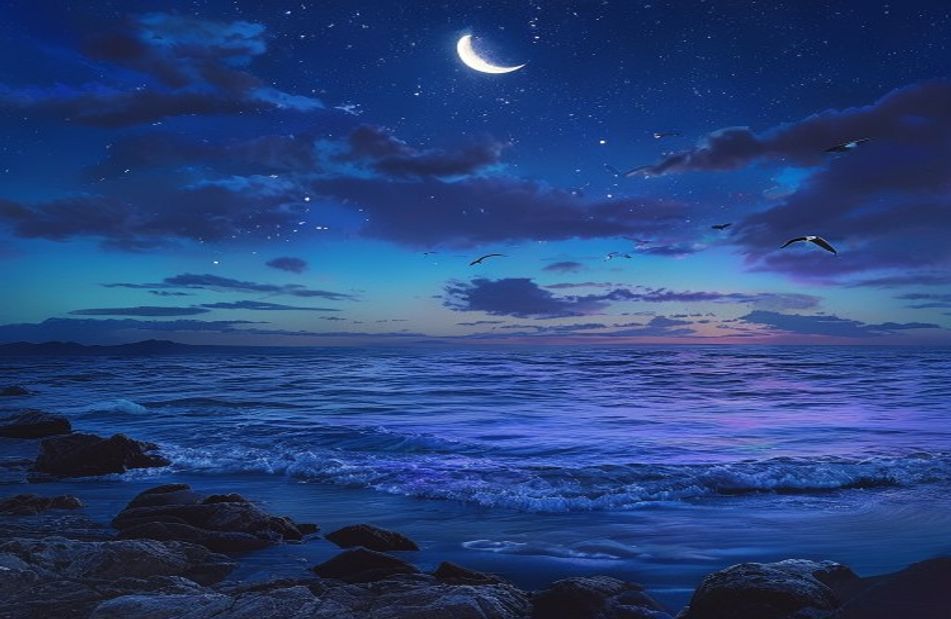 Night Ocean Wallpaper
