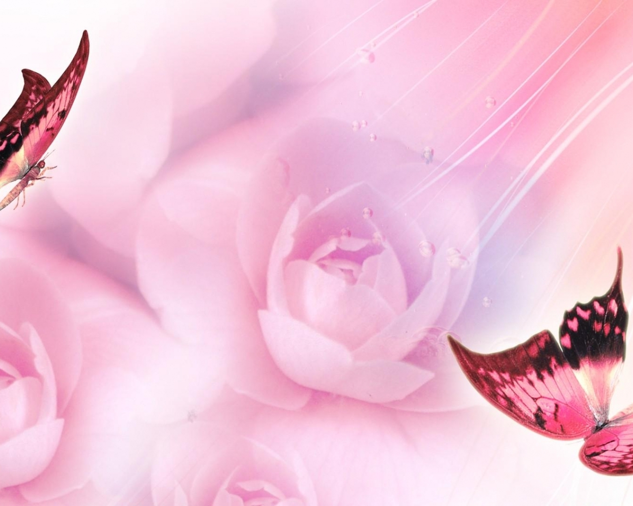 Scarica Pretty Pink Farfalla Wallpaper Animali Sfondi Con Tutte Le