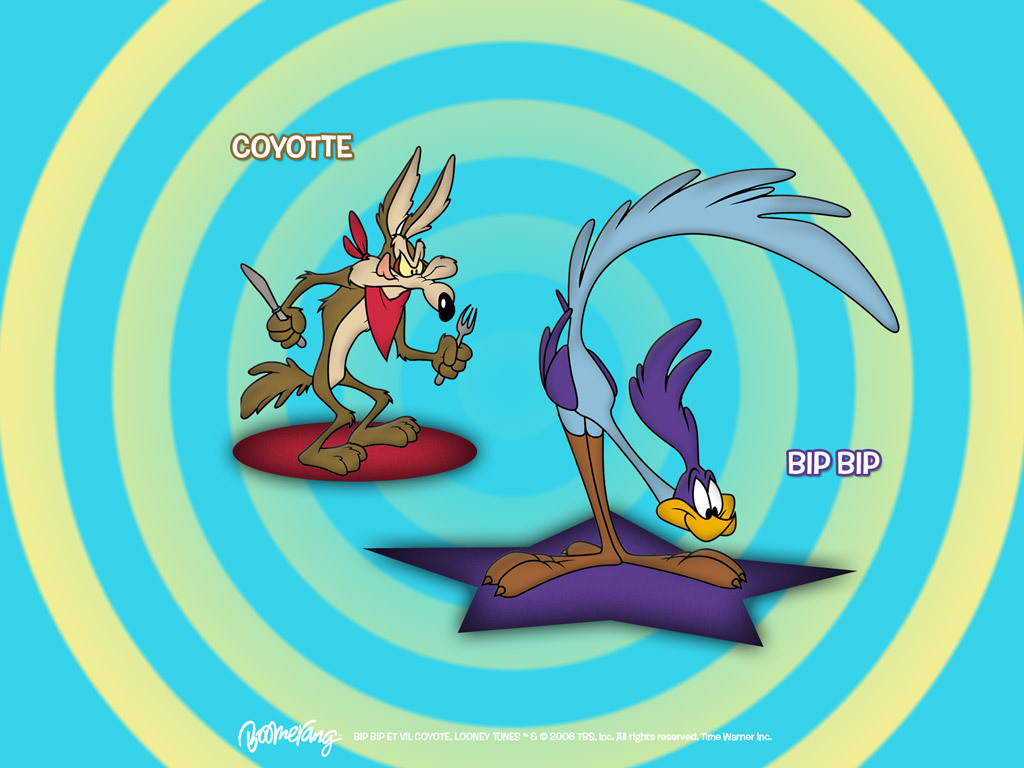 Road Runner Wile E Coyote Looney Tunes Wallpaper