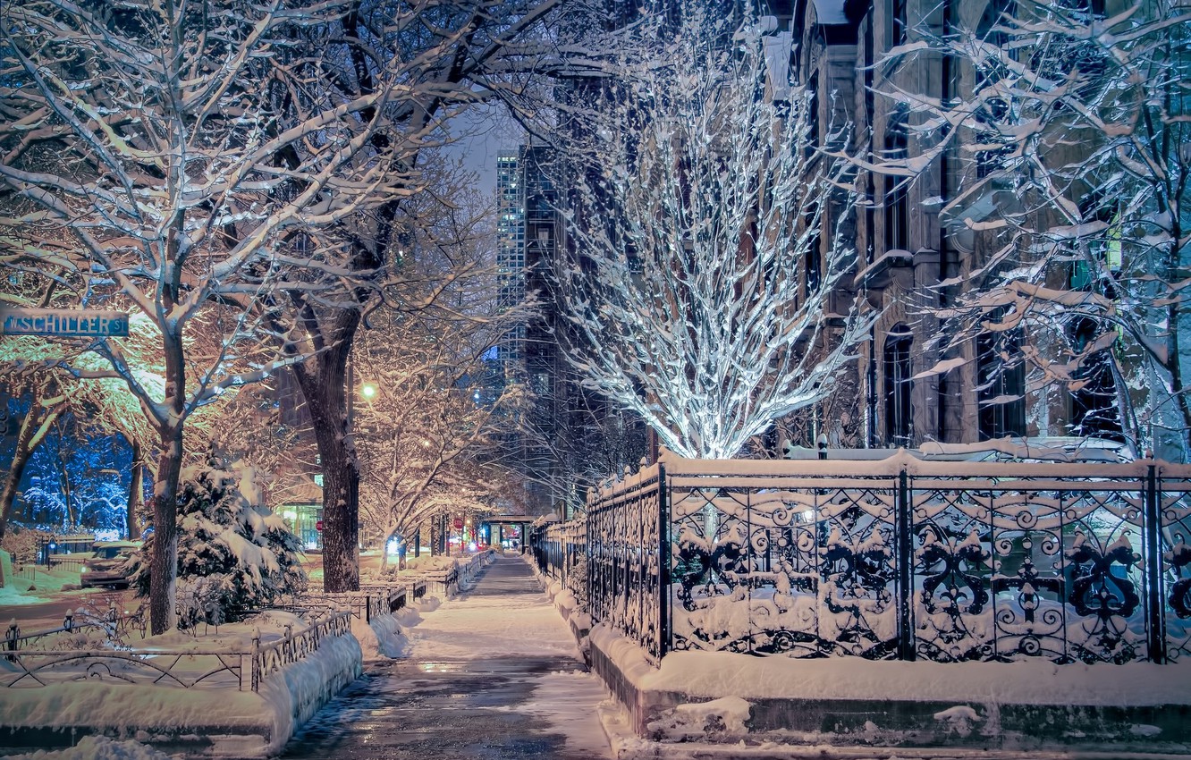 Wallpaper Winter Snow Trees Street Chicago Il