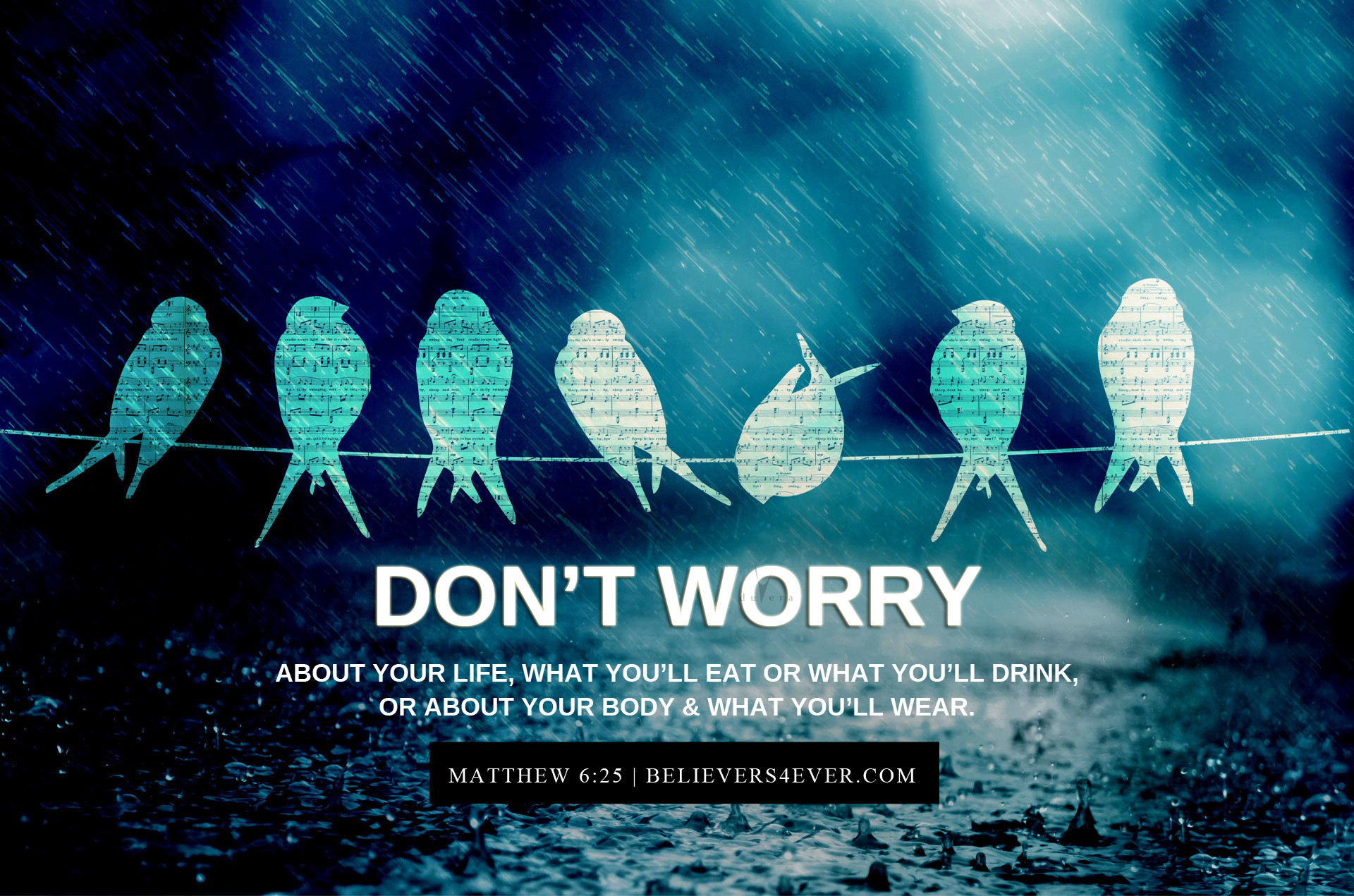 A calming image of birds perched on a wire in the rain, overlaid with the Bible verse Matthew 6:25 about not worrying, perfect for a Bible verse wallpaper