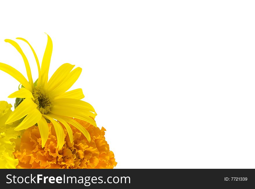 Sunflower And Marigold Background Stock Image Photos
