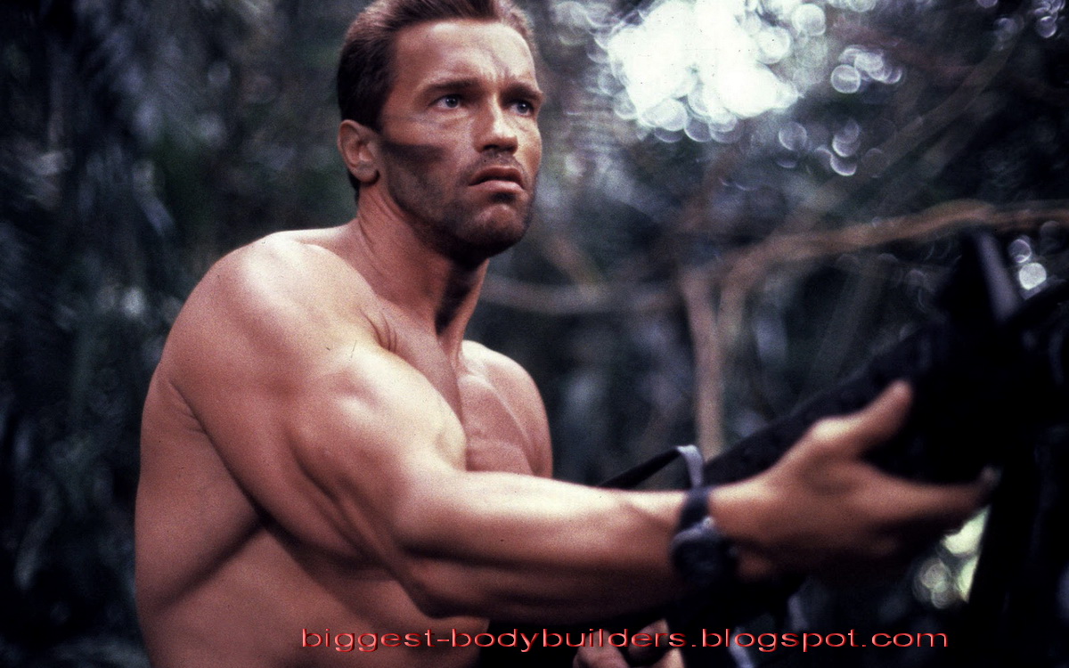 Biggest Body Builders Arnold Schwarzenegger Wallpaper HD