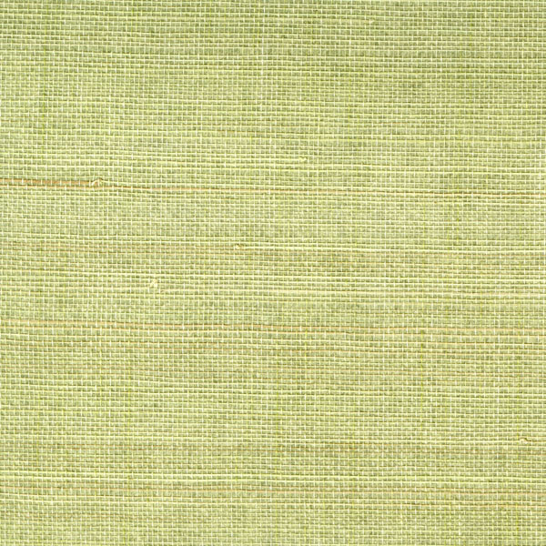 Blue Green Grasscloth Wallpaper WallpaperSafari