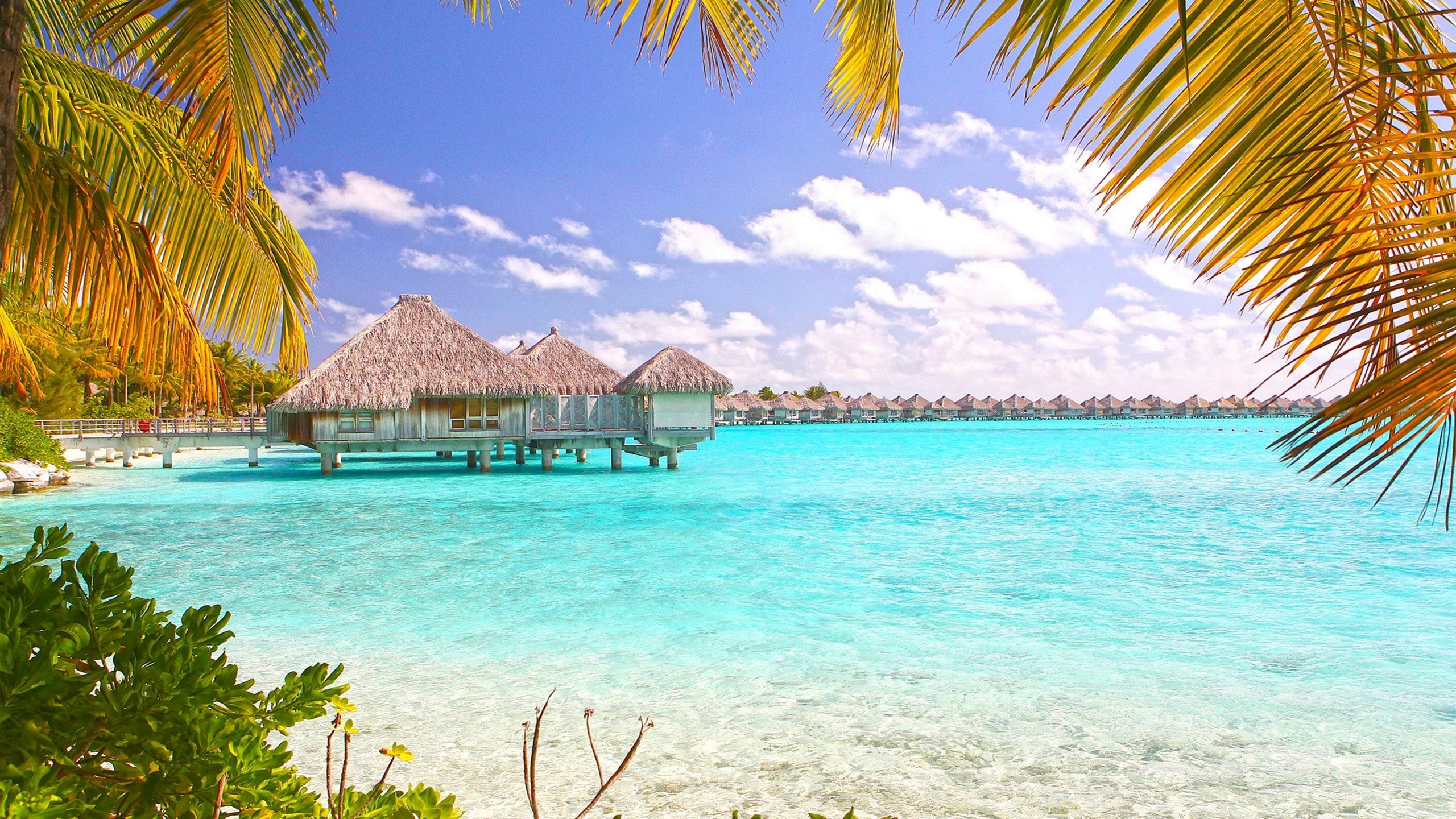 Tropical Beach Bora Polynesia Desktop Wallpaper