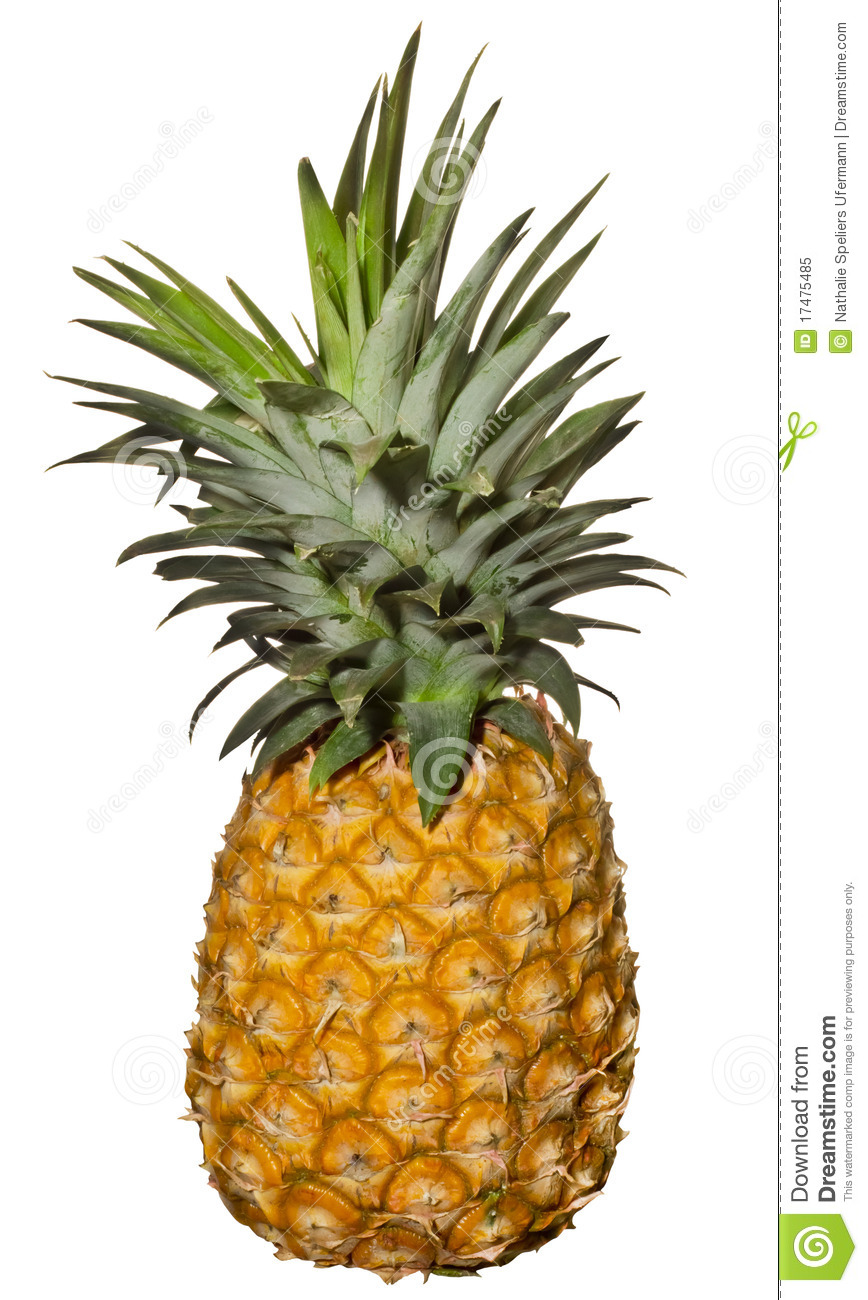 Pineapple Slices Clipart Black And White Isolated On