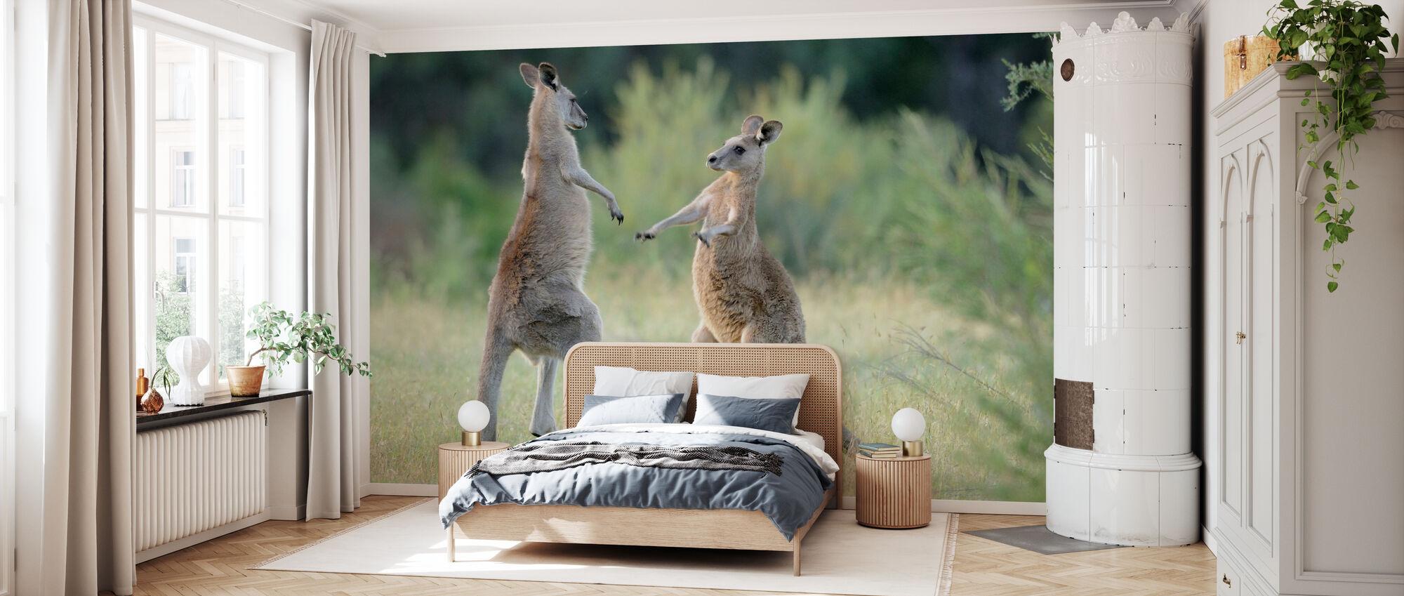 Eastern Grey Kangaroo affordable wall mural Photowall