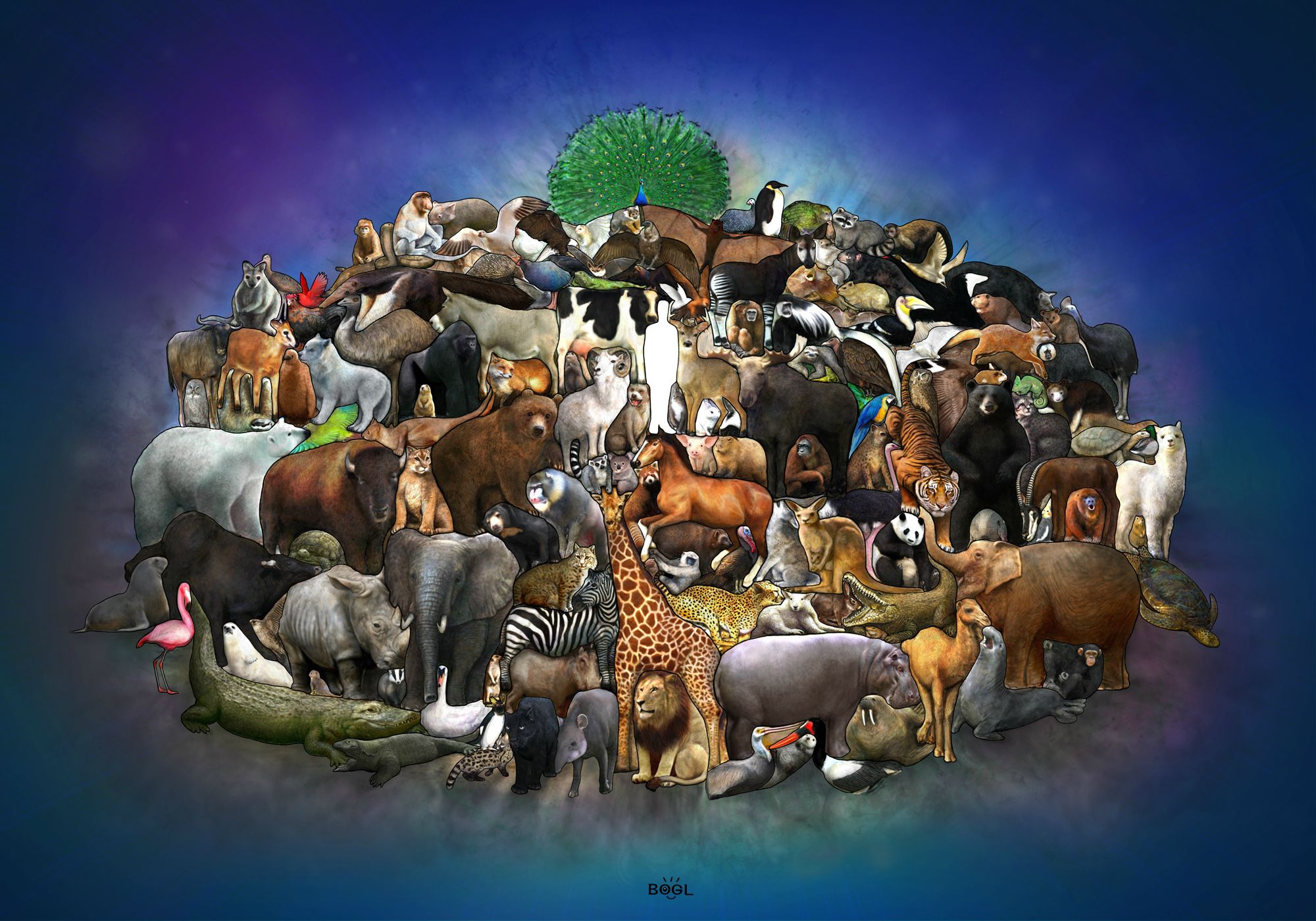 Plex Piece Of Art To Date It Is Posed Entirely Animals All