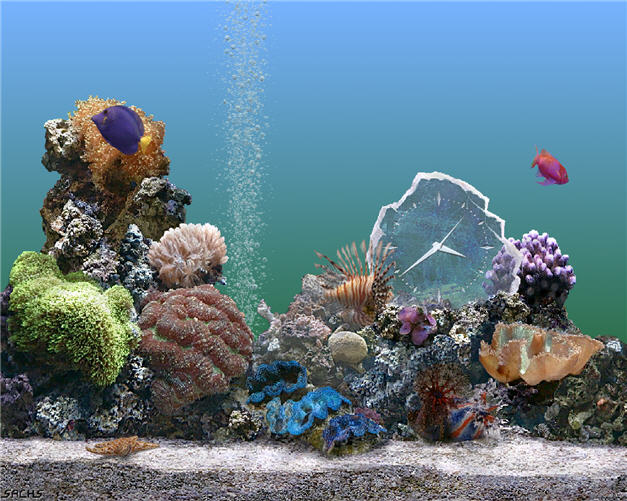 Serenescreen Marine Aquarium