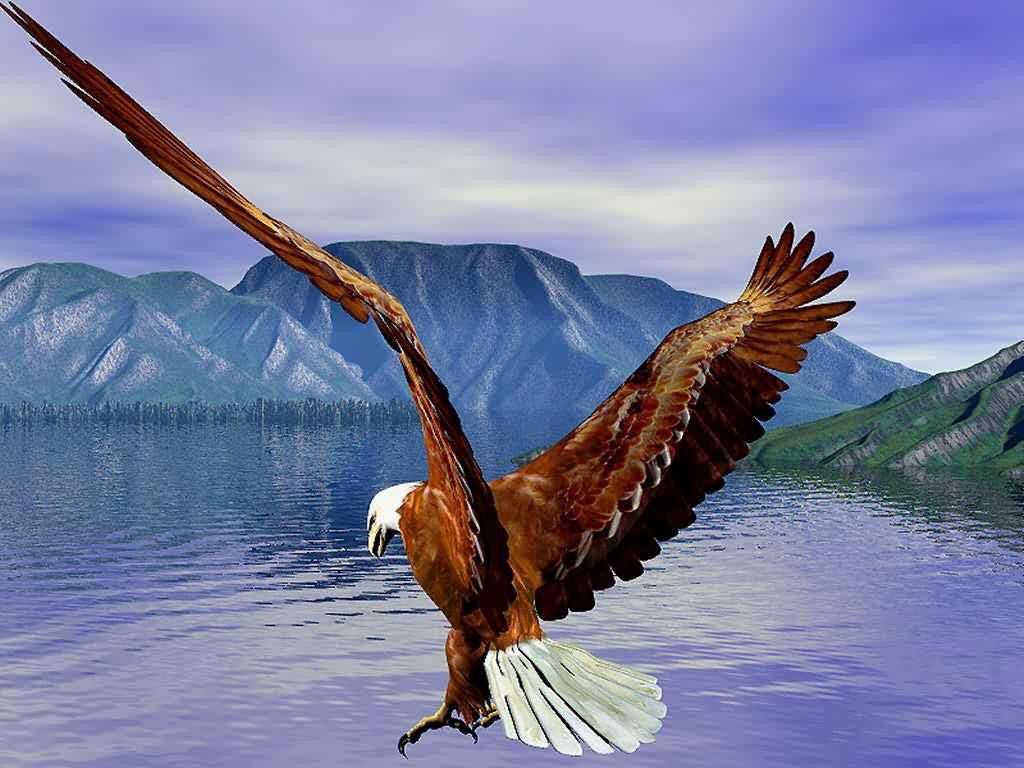 Eagle Painting HD Wallpaper Record