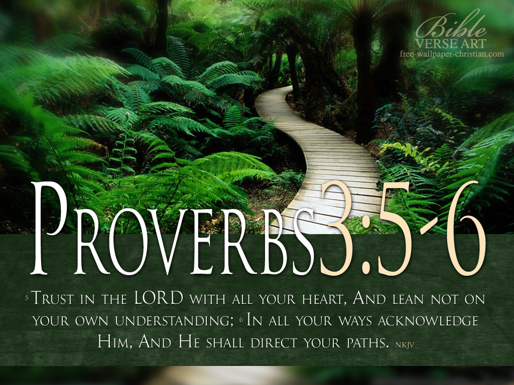 Proverbs 3 5 6 Wallpaper WallpaperSafari