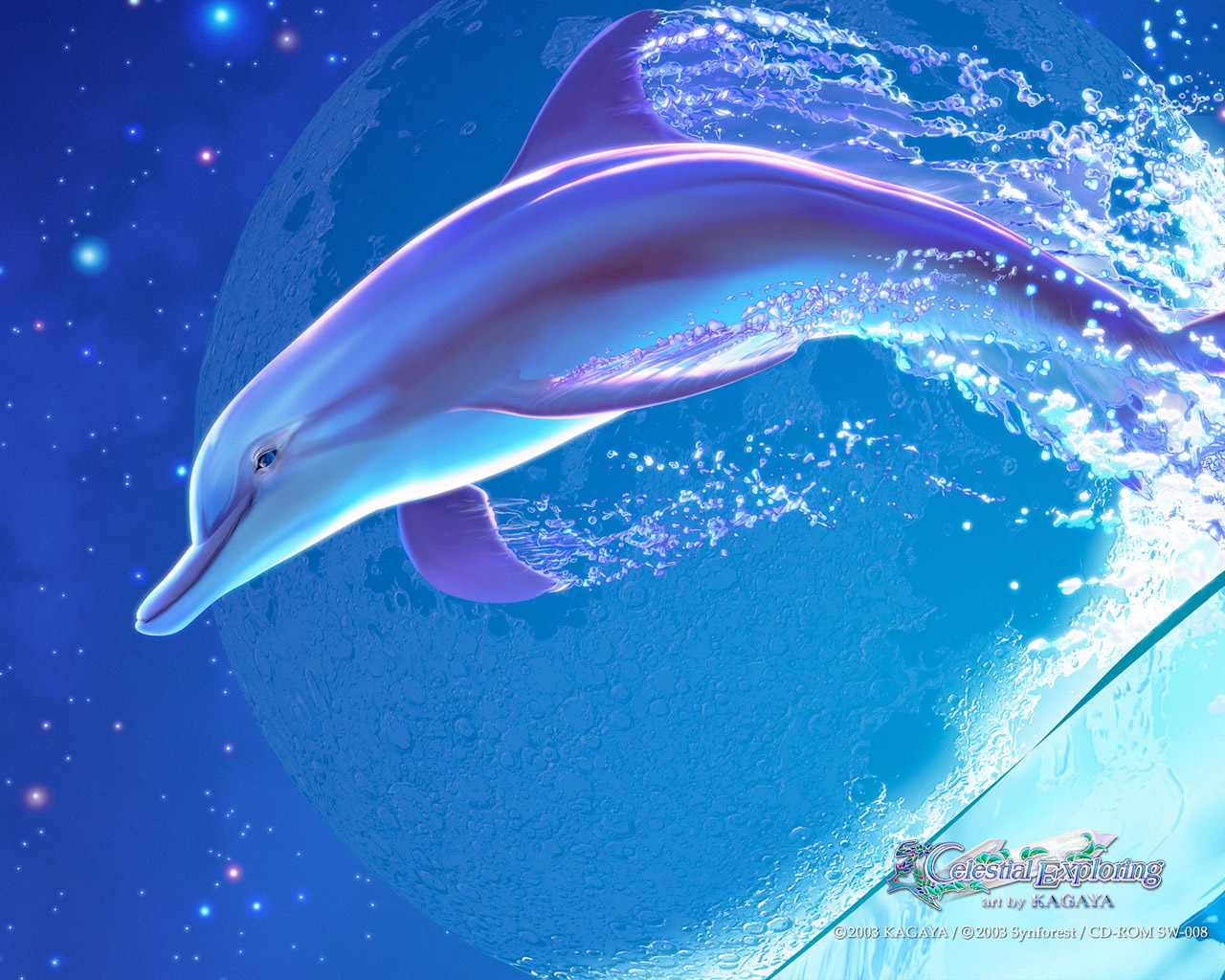 Celestial Dolphin Wallpaper HD