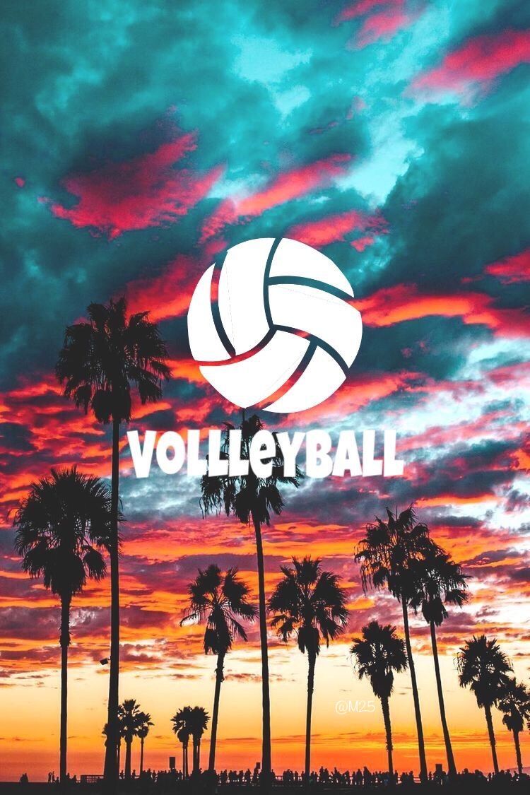 Volleyball Background Wallpaper Venice Beach