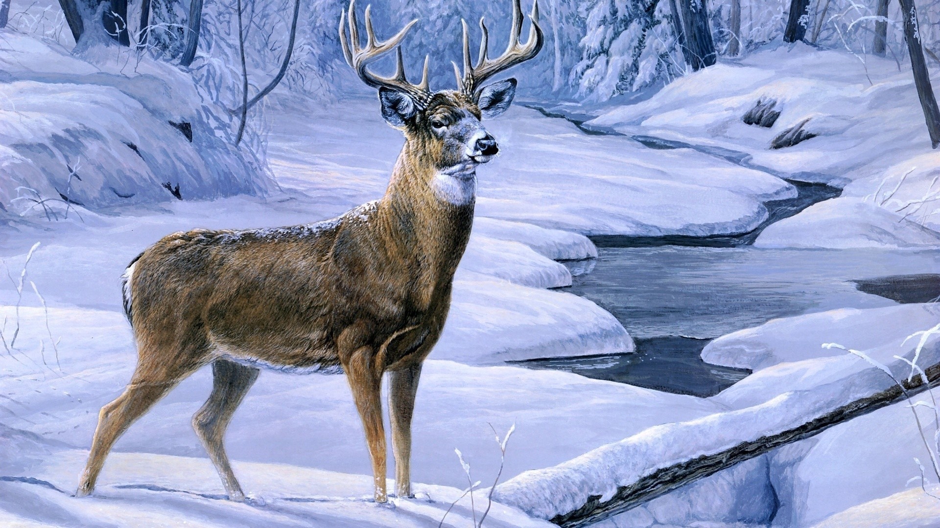 Cool Deer Wallpaper