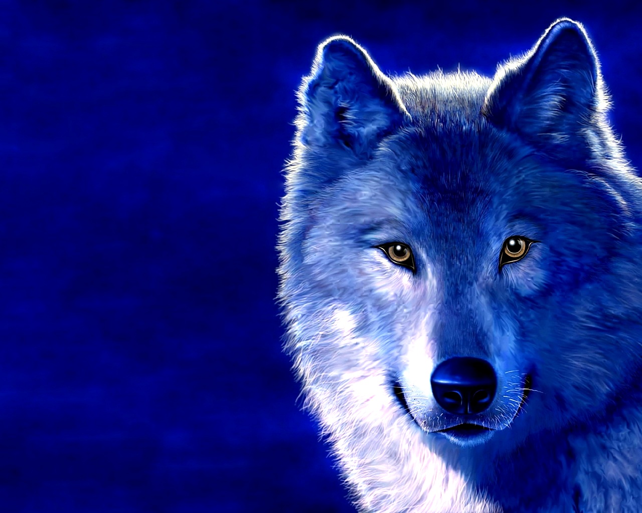 3d Wolf HD Desktop Best Quality Wallpaper Here You Can See