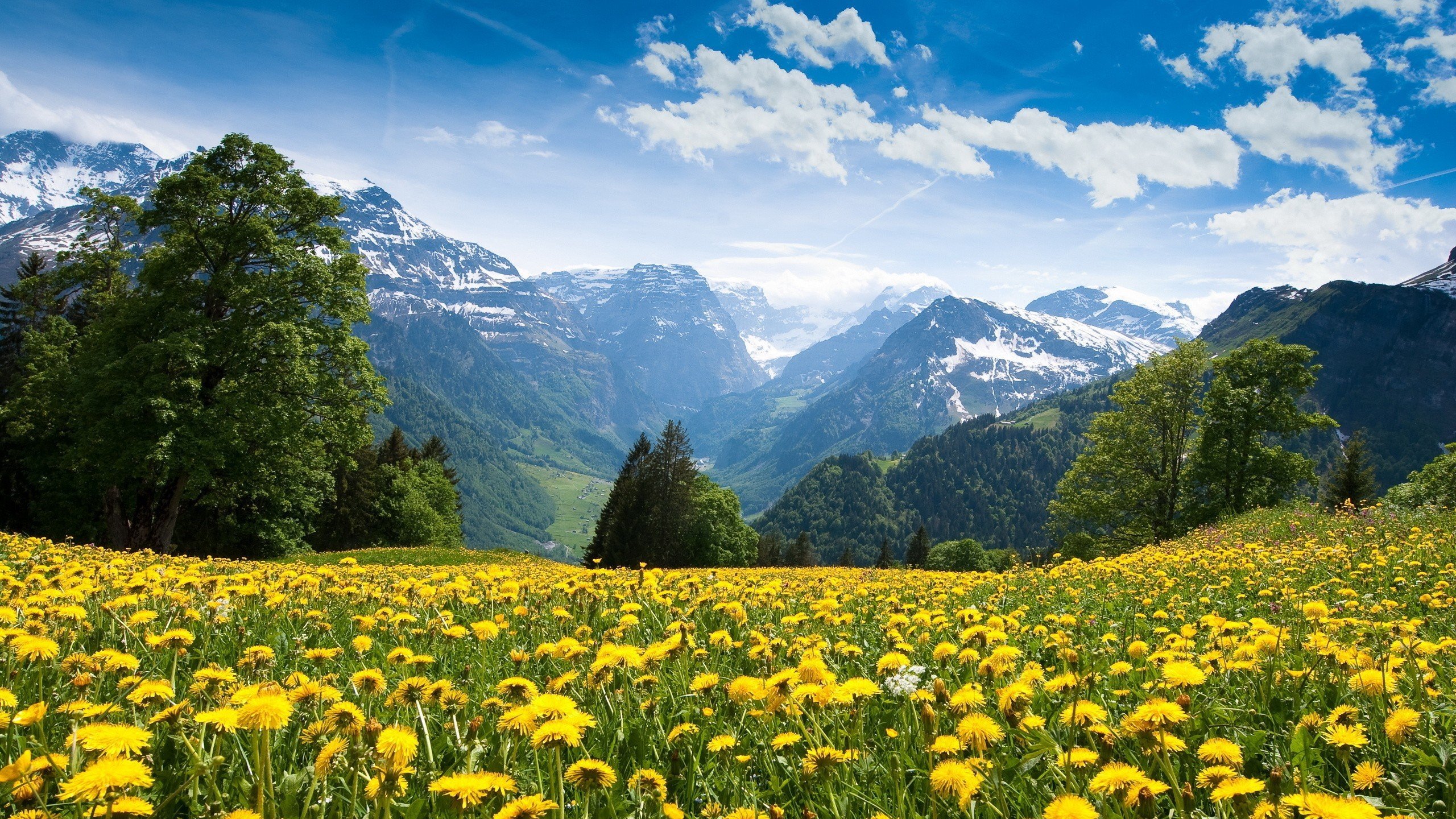 mountains landscape nature mountain spring meadow flowers wallpaper