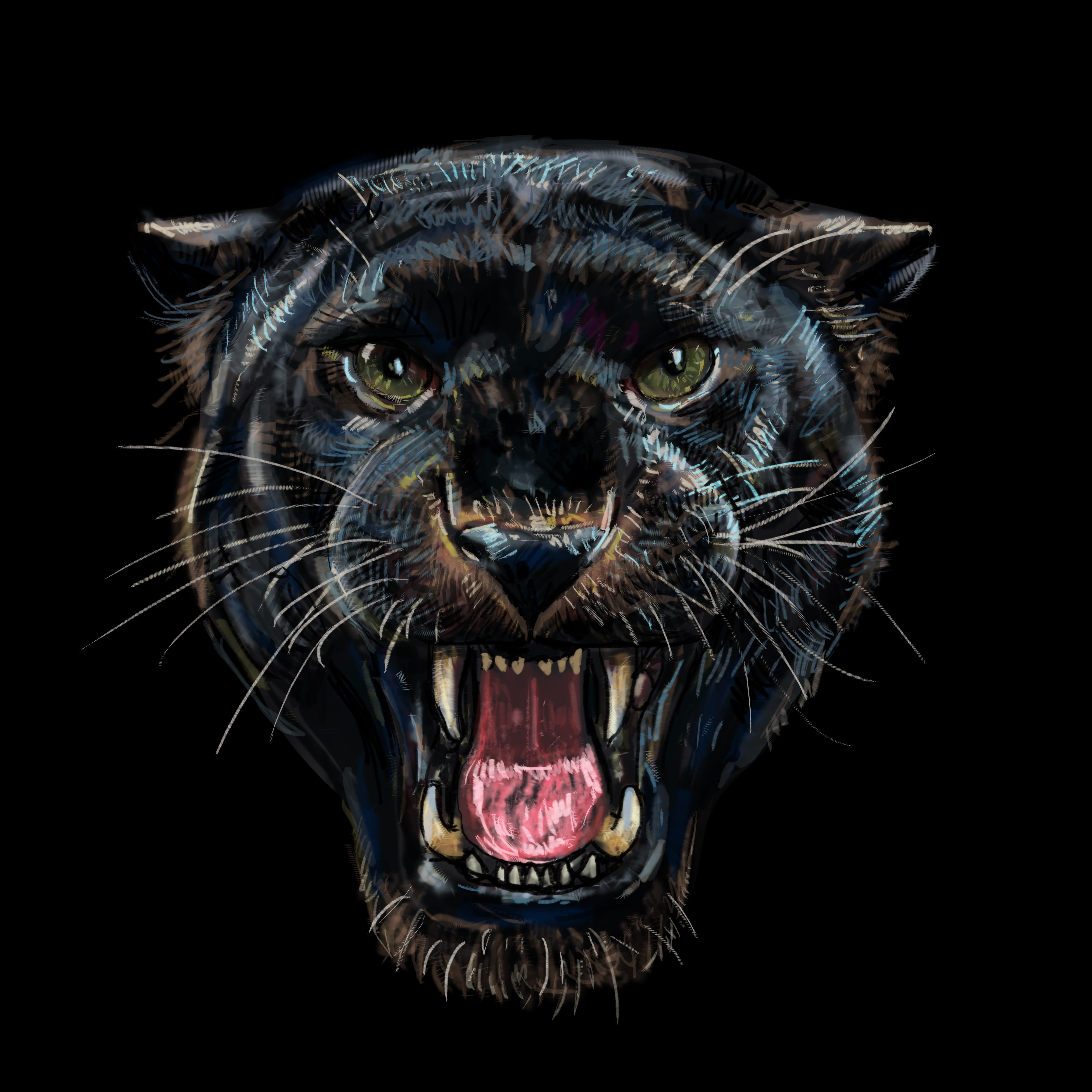 Roaring Black Panther On Background Digital Painting