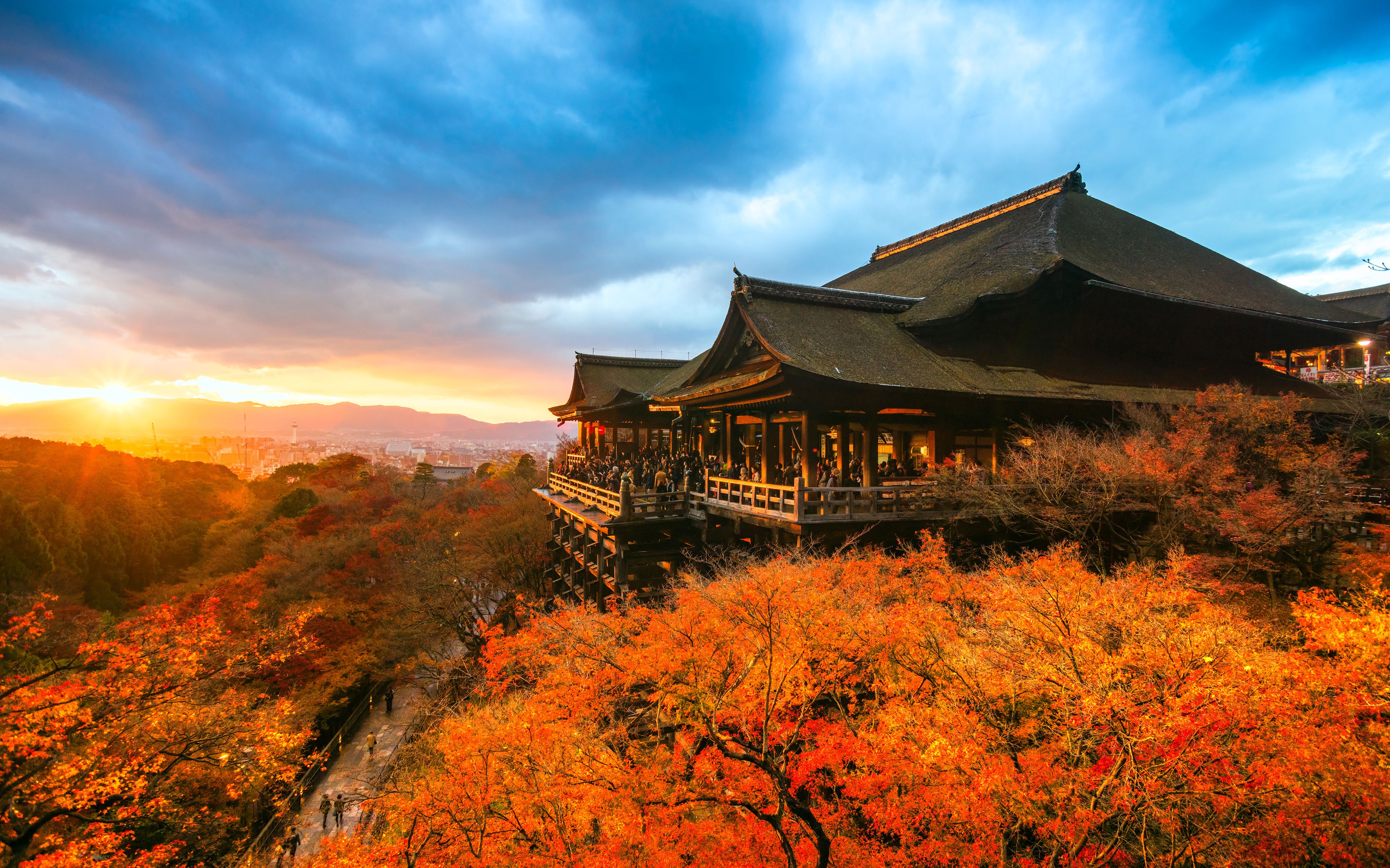Kyoto Fall Wallpaper On