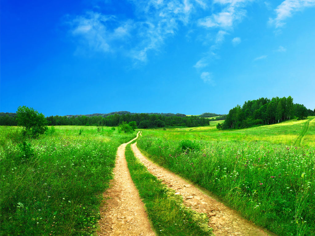 Wallpaper Nature Scenery Desktop