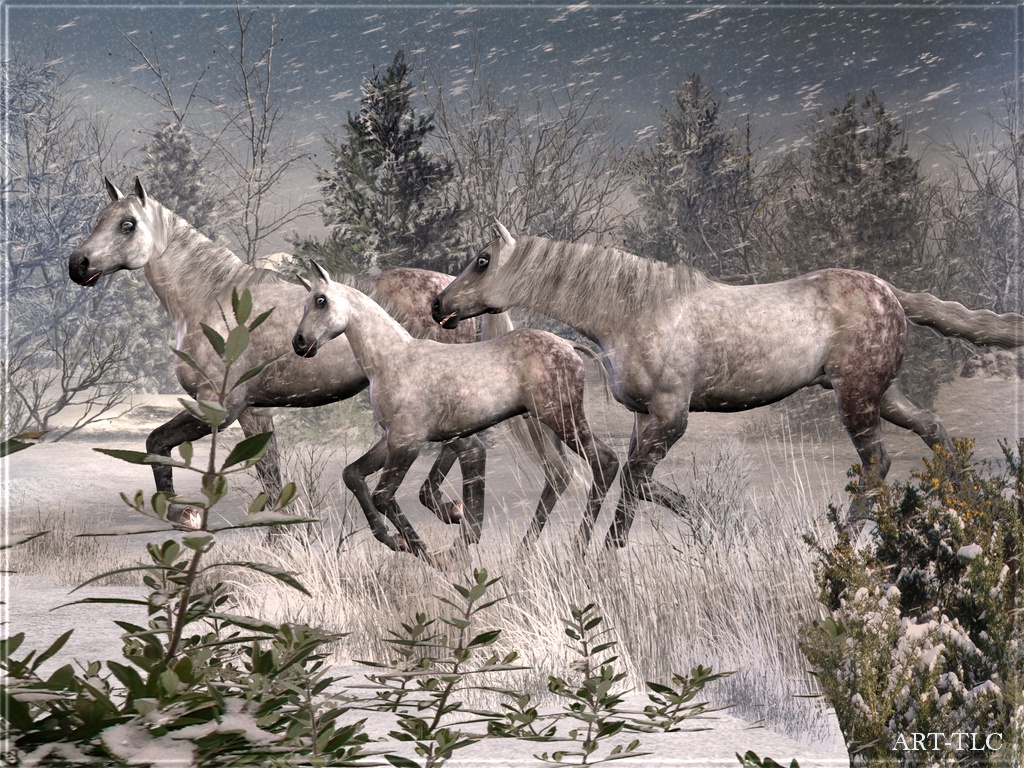 Wallpaper By Art Tlc Horses On Snowy Mountain
