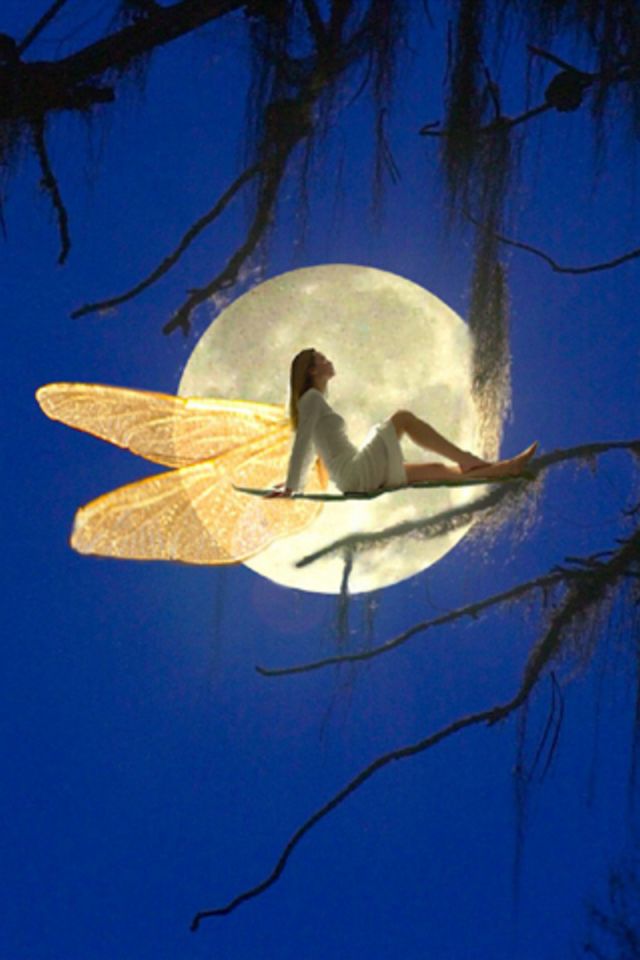 Fairytale Moon iPhone Wallpaper HD