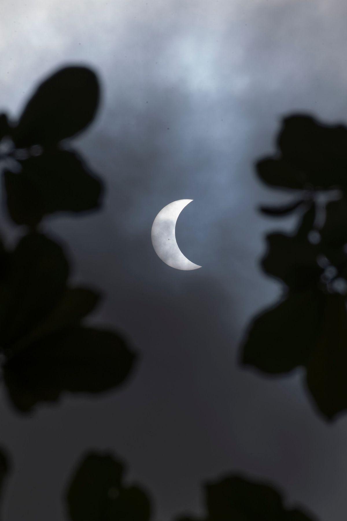 See Photos Of Rare Hybrid Solar Eclipse Wsj