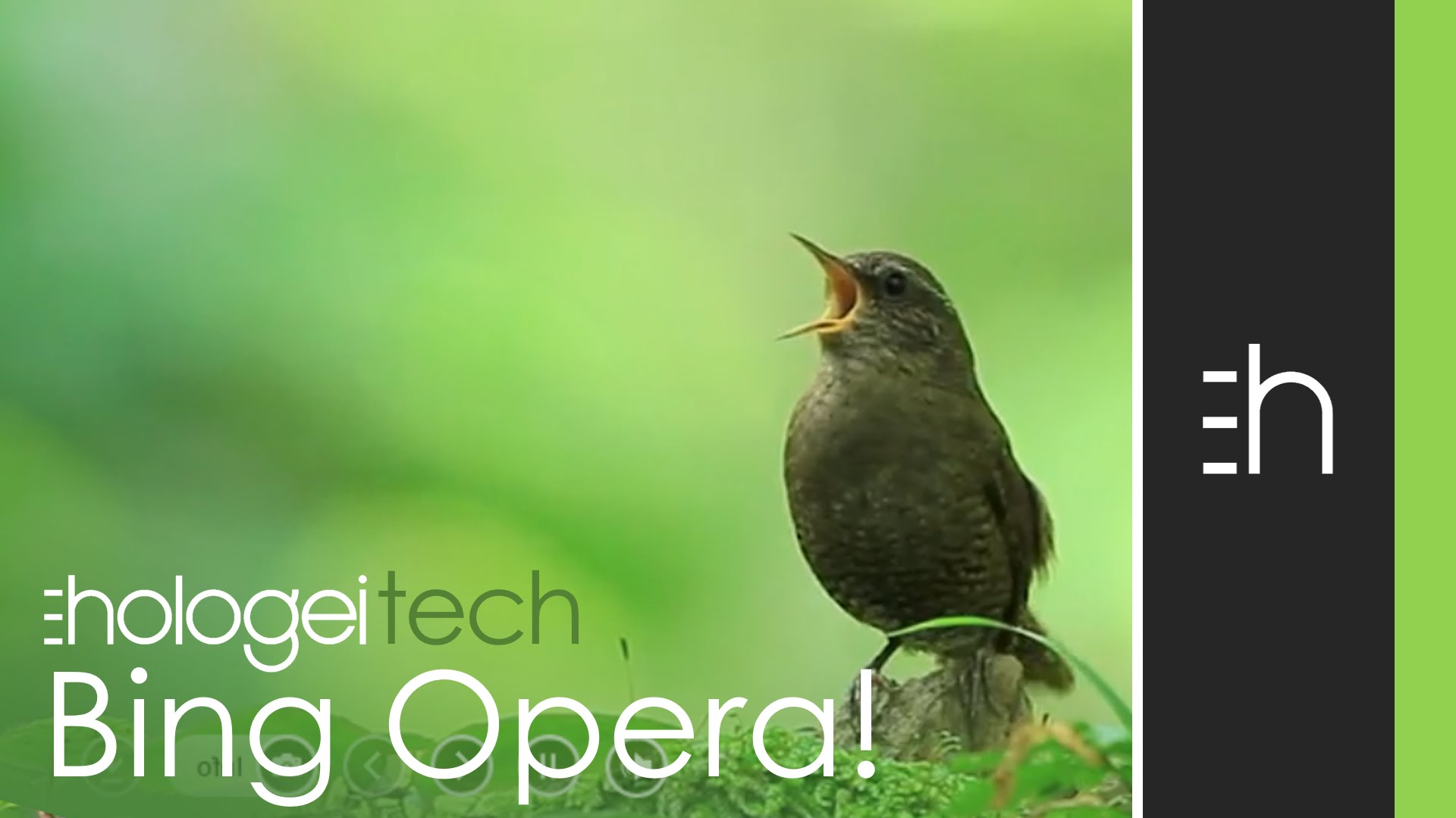 Opera Bird Bing April Fools Day Background