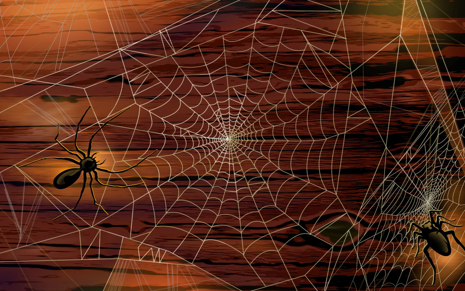 Scary Halloween Spiders Hd Wallpaper