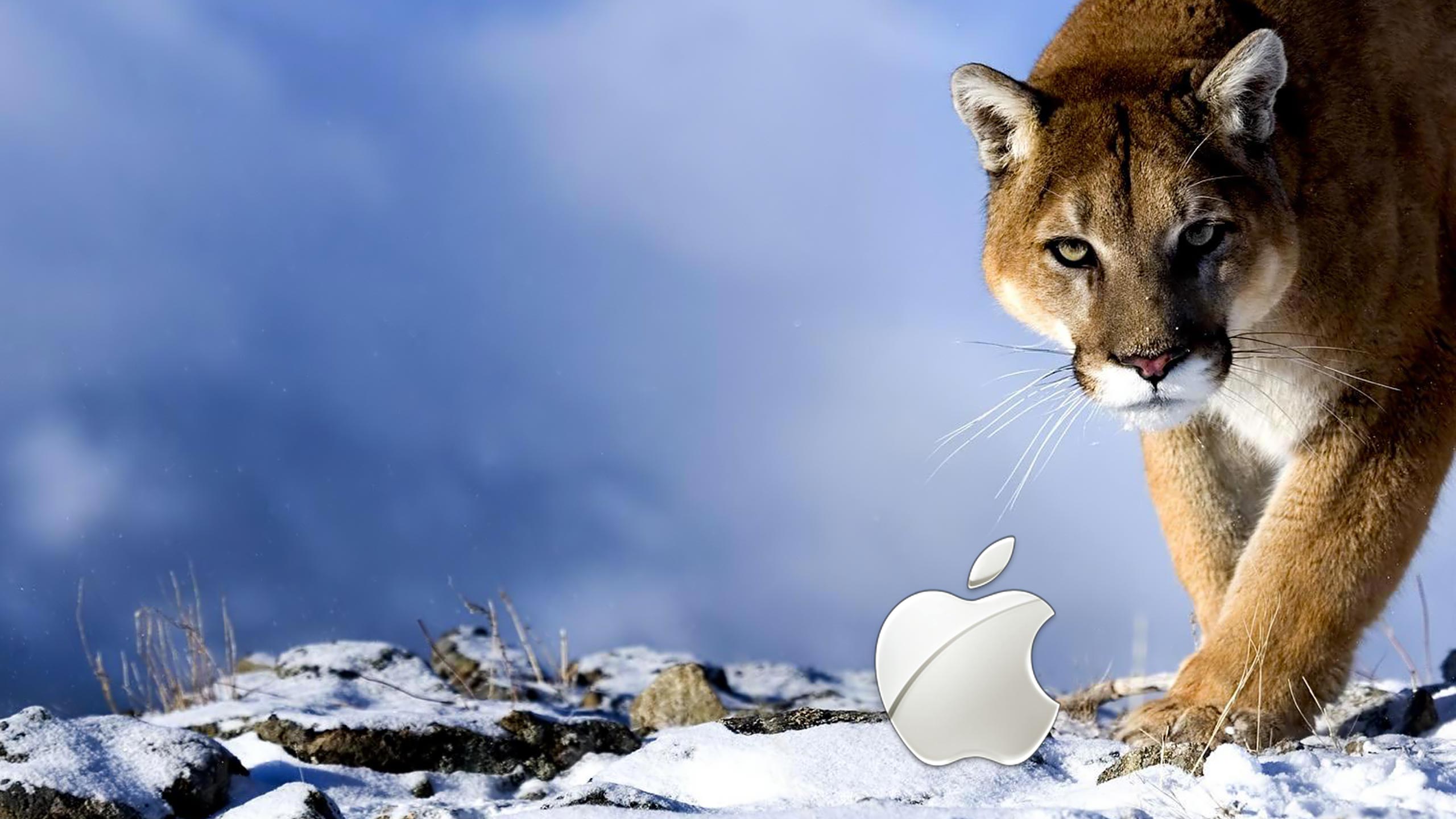 Os X Snow Leopard Wallpaper HD Desktop Taken From Stunning Mac