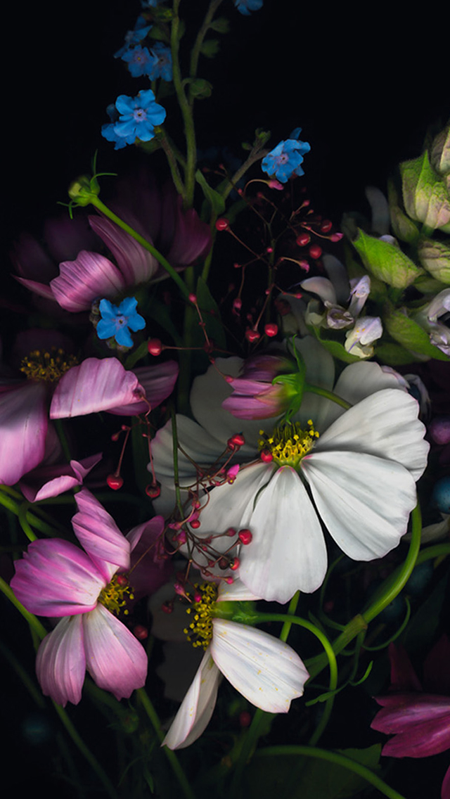 Flower Bunch Art iPhone 5s Wallpaper