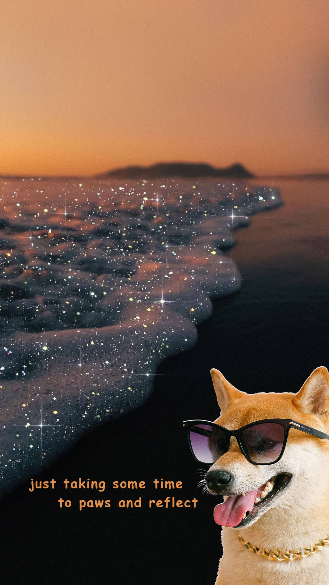 Funny Aesthetic Wallpaper