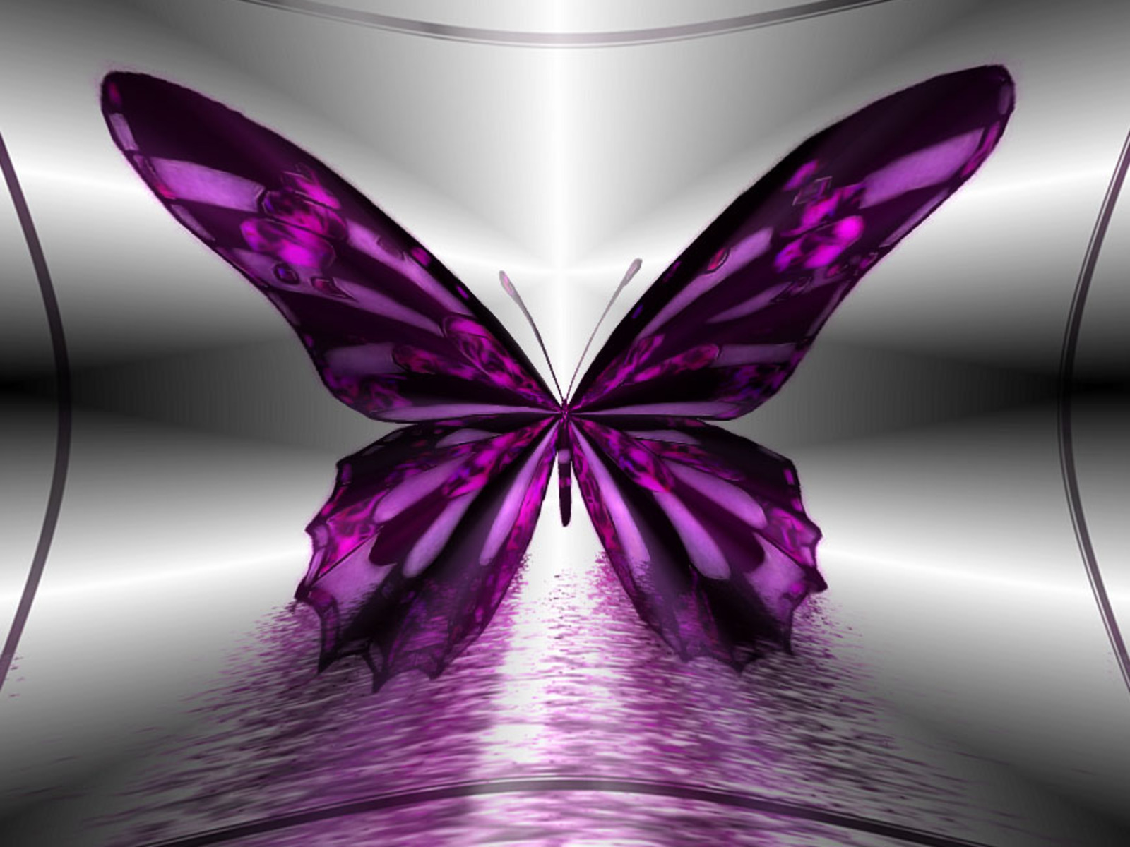Beautiful Butterflies Wallpaper