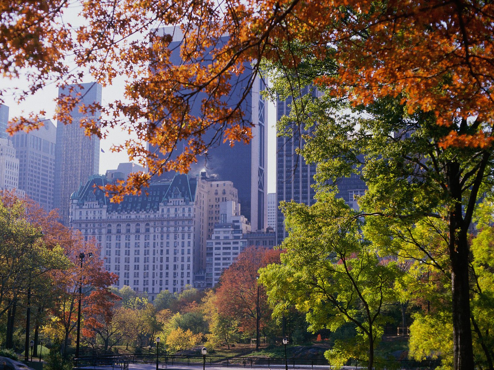 Central Park In Autumn New York Hqworld High Quality Sport