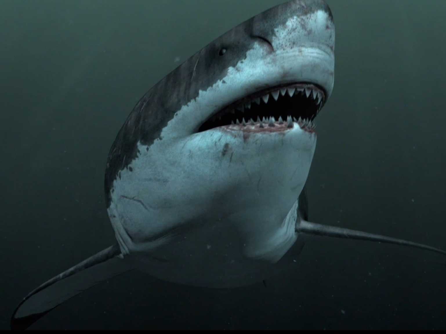 《巨齿鲨》曝全新海报剧照 “海底侏罗纪”初露端倪-国际在线