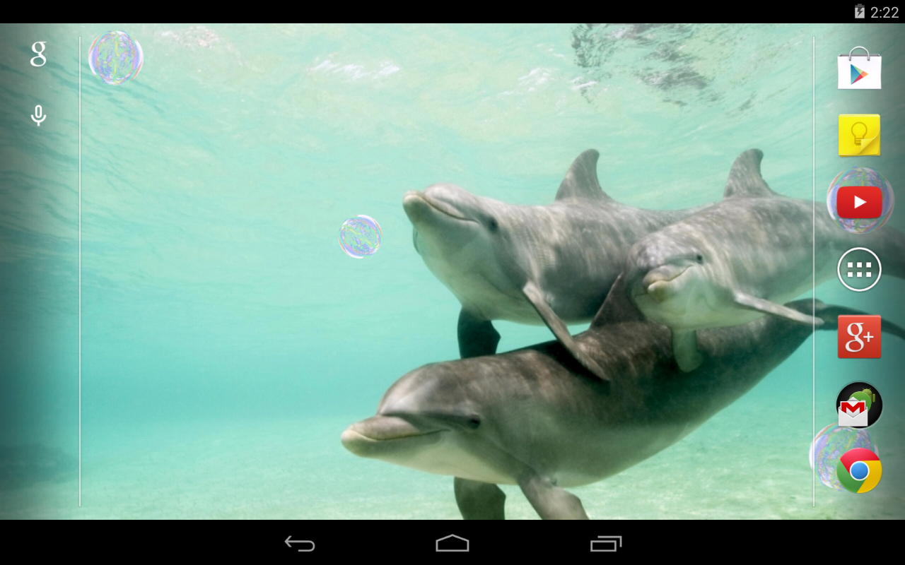 Dolphins Live Wallpaper Beautiful Android That