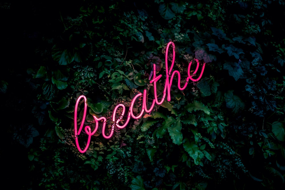 100 Breathe Pictures [HD] Download Free Images on