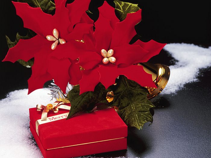 Prev Christmas Crafts And Ornaments 1600xmas