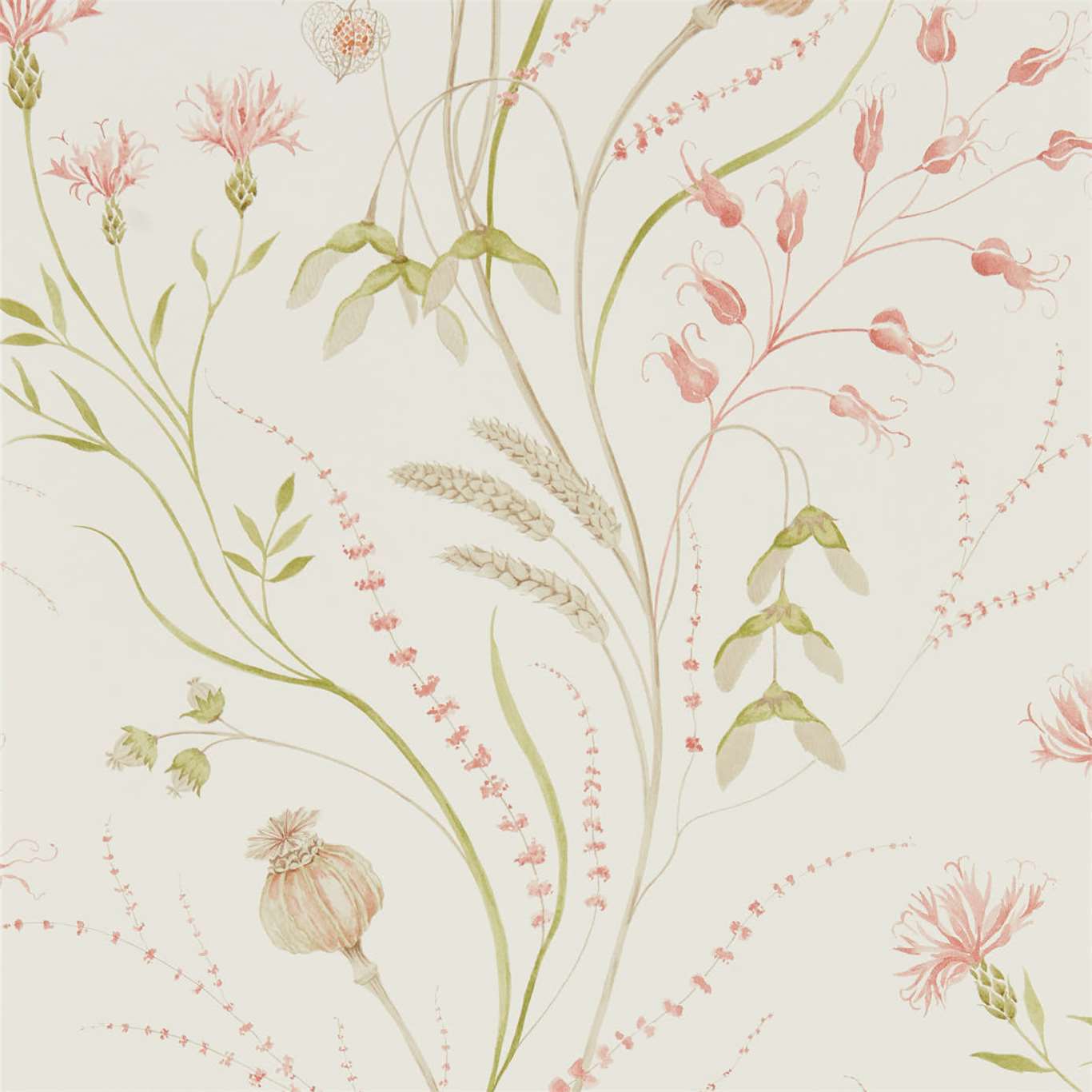 Summer Harvest Claret Olive Wallpaper Sanderson By Design