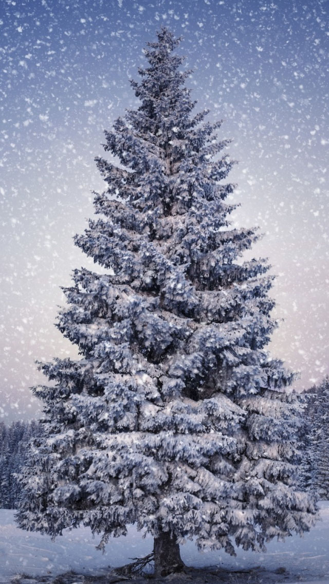 Snowy Christmas Tree Wallpaper iPhone