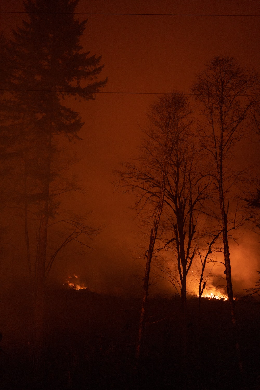 Forest Fire Pictures HD Image