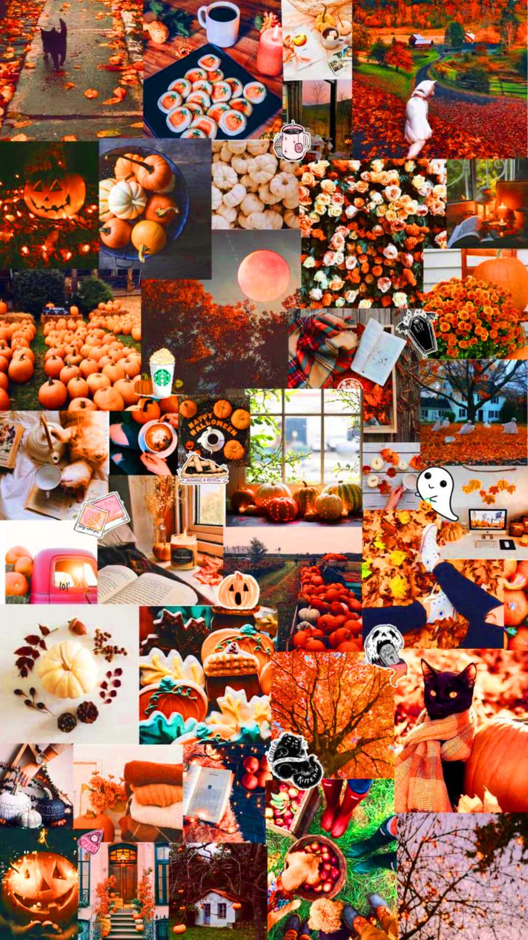 Cute Autumn 7z7nibpap040qxvr Wallpaper
