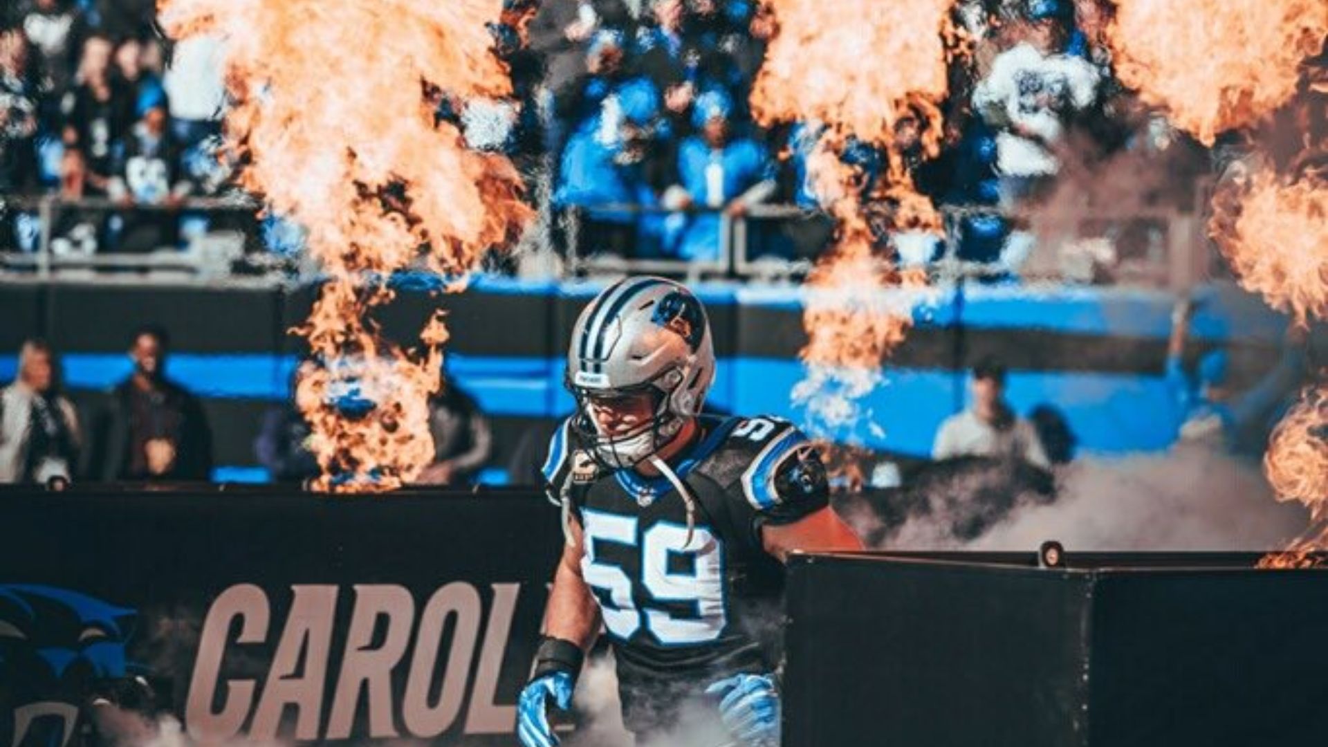 Carolina Panthers Wallpaper