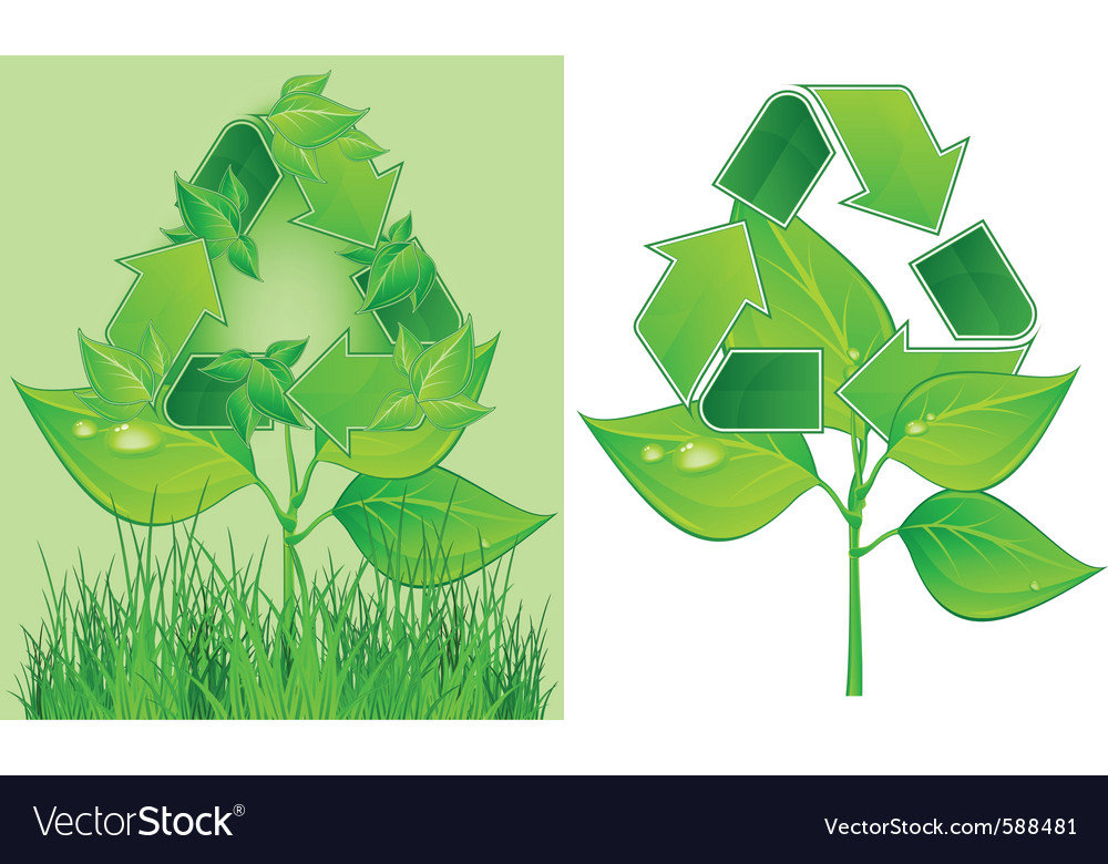 Green Recycle Symbol On Plant White Background Vector Image